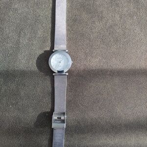 Skagen Silver Mesh Watch
